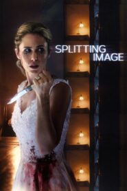 Splitting Image 2017 on netflix
