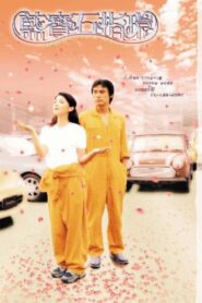 Follow You Loving You 2003 on netflix