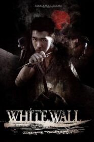 White Wall 2010 on netflix