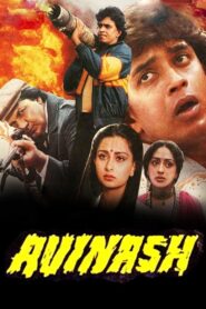 Avinash 1986 on netflix