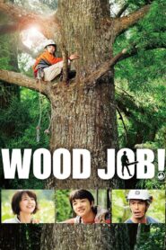 Wood Job! 2014 on netflix