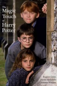 The Magic Touch of Harry Potter 2004 on netflix