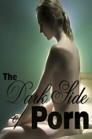 The Dark Side of Porn: Porn Shutdown 2005 on netflix