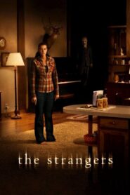 The Strangers 2008 on netflix