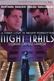 Luces de la noche 1998 on netflix