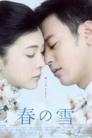 Spring Snow 2005 on netflix