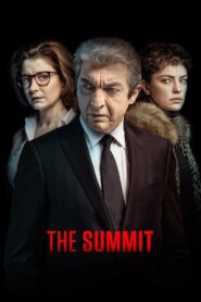 The Summit 2017 on netflix