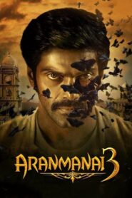 Aranmanai 3 2021 on netflix