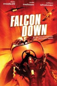 Falcon Down 2001 on netflix