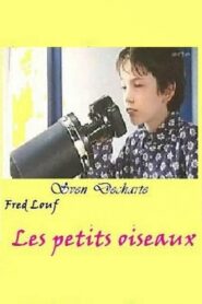 Just Little Birds 2001 on netflix