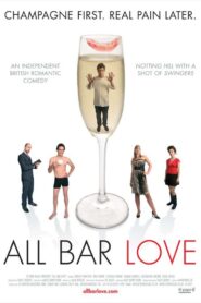 All Bar Love 2008 on netflix