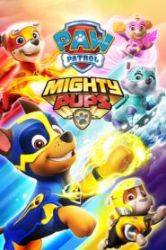 PAW Patrol: Mighty Pups 2018 on netflix