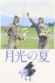 Summer of the Moonlight Sonata 1993 on netflix