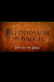 Bats in the Belly 2004 on netflix