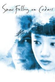 Snow Falling on Cedars 1999 on netflix
