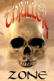 Thriller Zone 1995 on netflix