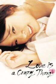 Love is a Crazy Thing 2005 on netflix