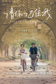 Please Remember Me 2017 on netflix