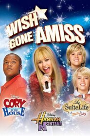 Wish Gone Amiss 2007 on netflix