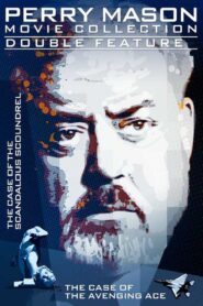 Perry Mason: The Case of the Avenging Ace 1988 on netflix