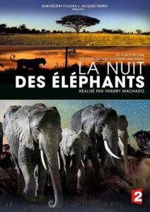 La Nuit des éléphants 2014 on netflix