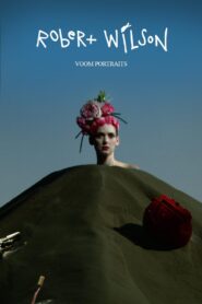 Voom Portraits 2007 on netflix
