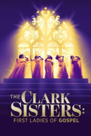 The Clark Sisters: First Ladies of Gospel 2020 on netflix