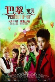 Perfect Baby 2011 on netflix