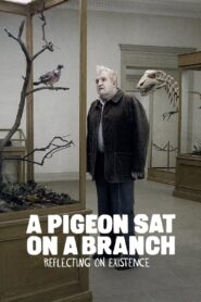 A Pigeon Sat on a Branch Reflecting on Existence 2014 on netflix