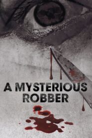 A Mysterious Robber 2012 on netflix