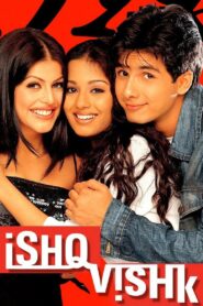 Ishq Vishk 2003 on netflix