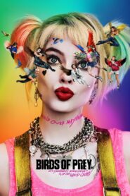 Birds of Prey (and the Fantabulous Emancipation of One Harley Quinn) 2020 on netflix