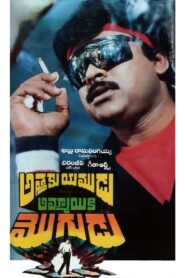 Attaku Yamudu Ammayiki Mogudu 1989 on netflix