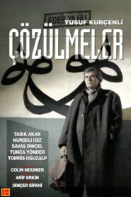Çözülmeler 1994 on netflix