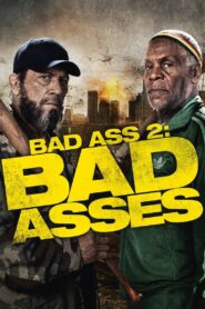 Bad Ass 2: Bad Asses 2014 on netflix