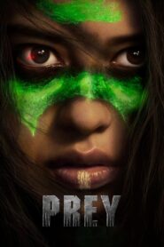 Prey 2022 on netflix