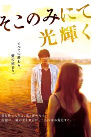 The Light Shines Only There 2014 on netflix