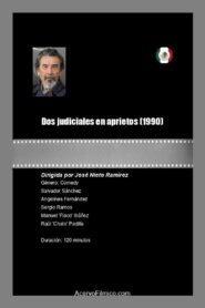 Dos judiciales en aprietos 1990 on netflix