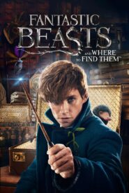 Fantastic Beasts and Where to Find Them 2016 on netflix