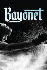 Bayonet 2018 on netflix