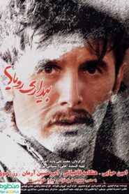 Wakefulness of Dreams 2010 on netflix