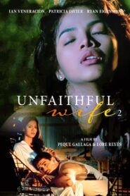 Unfaithful Wife 2: Sana’y huwag akong maligaw 1999 on netflix