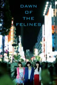 Dawn of the Felines 2017 on netflix