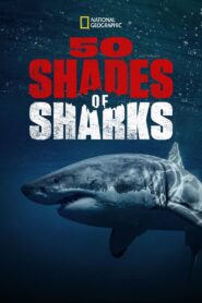 50 Shades of Sharks 2020 on netflix