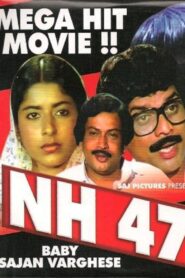 NH 47 1984 on netflix