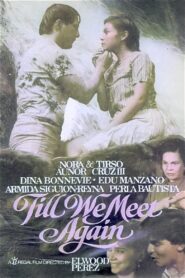 Till We Meet Again 1985 on netflix