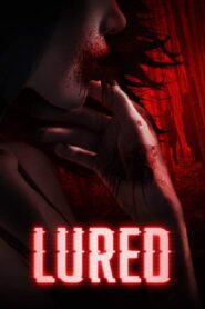 Lured 2019 on netflix