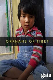 Orphans of Tibet 2010 on netflix
