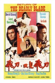 Shaolin Fighters vs. Ninja 1981 on netflix