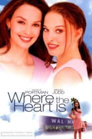 Where the Heart Is 2000 on netflix
